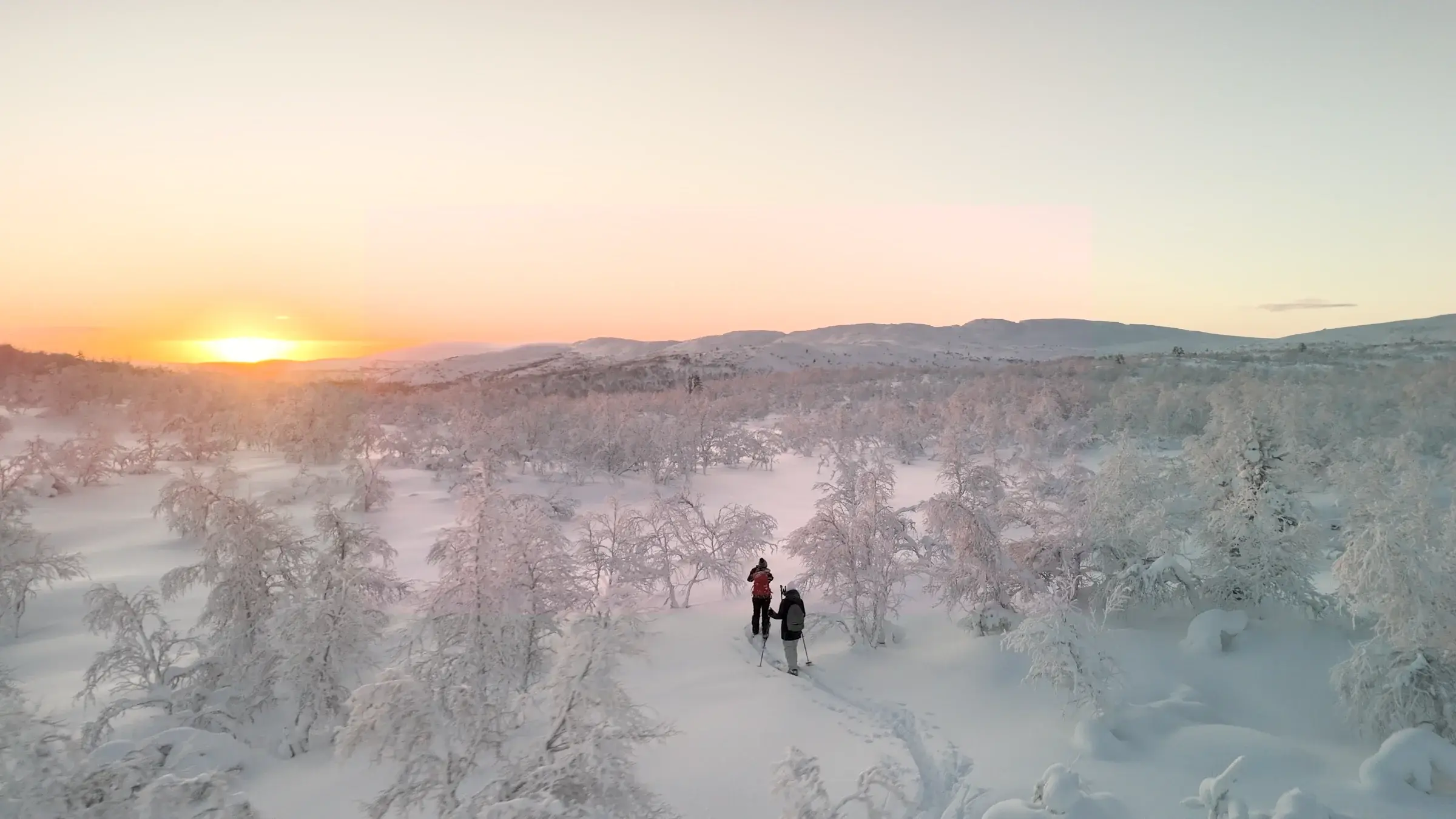 Untouched Arctic Wilderness Landscapes