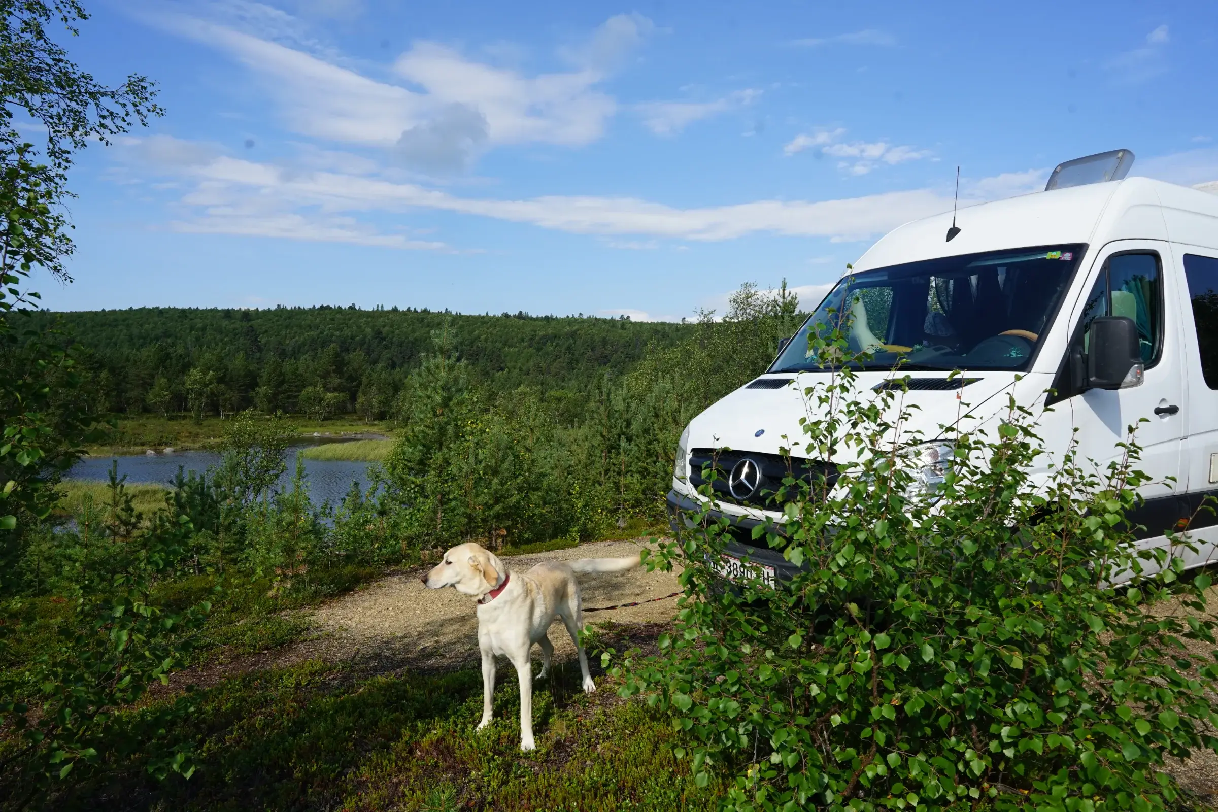 A caravan parked by the lake at the campsite