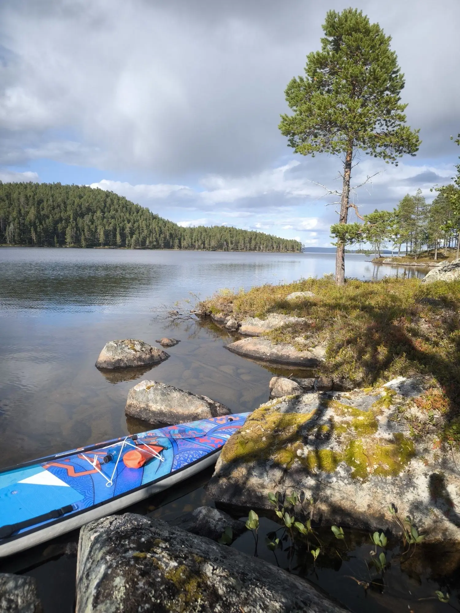 A paddle board on a quiet lake shore, with pine-covered hills across the water